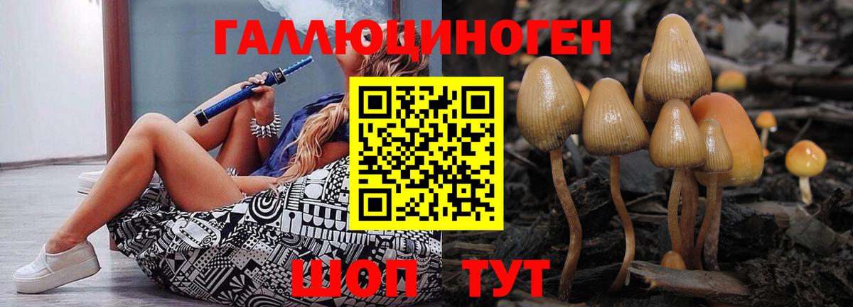 Псилоцибиновые грибы MAGIC MUSHROOMS  Псилоцибиновые грибы мухоморы  Дюртюли  Вход с VPN 